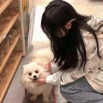 超级堆栈球手游下载